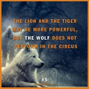 Meet your Posher, Marie